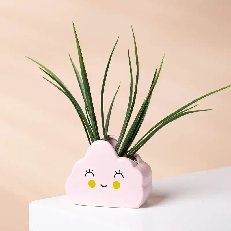 Custom Cartoon Cloud Shape Planter Plant Pots Ceramics Succulents Pots For Home Garden Decor