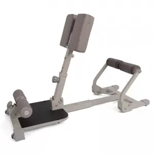 Sports fitness equipment sissy squat