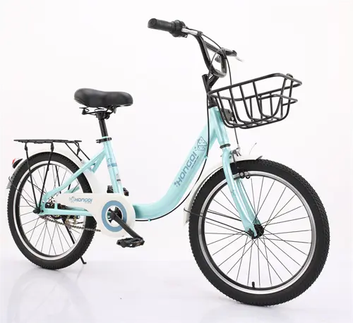 20” _22” City Bike Bicycle for Man Woman Mountain Bike Cycle New Adult Bike City Road Bicycle Featured Image