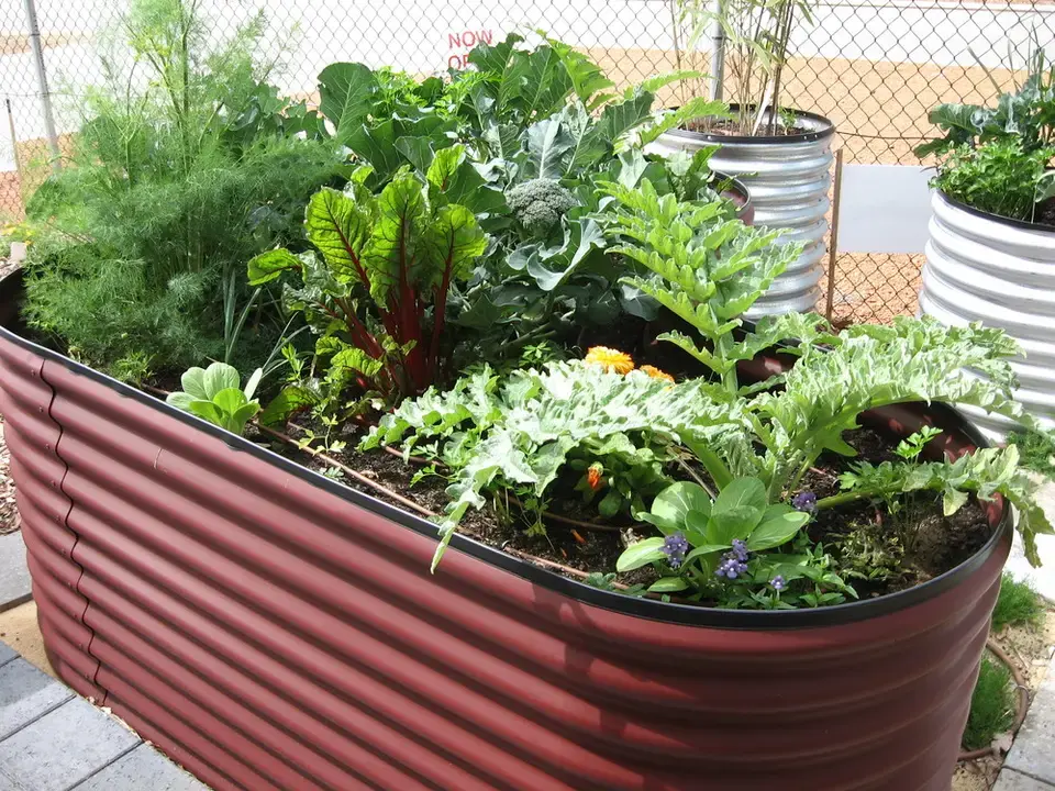 planters box steel raised garden bed / metal steel vegetable planter raised garden beds