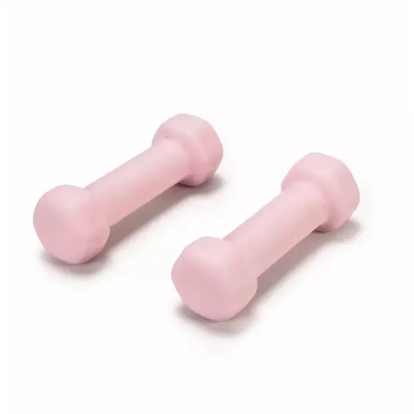 High Quality Home Gym Exercise Equipment Rubber Coated Dumbells Free Weights Hex Dumbbell Featured Image