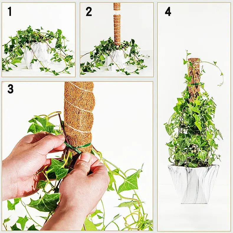 2-pack Garden Plant Support Stackable Climbing Thicken Coco Totem Stick Moss Pole Moss Stick