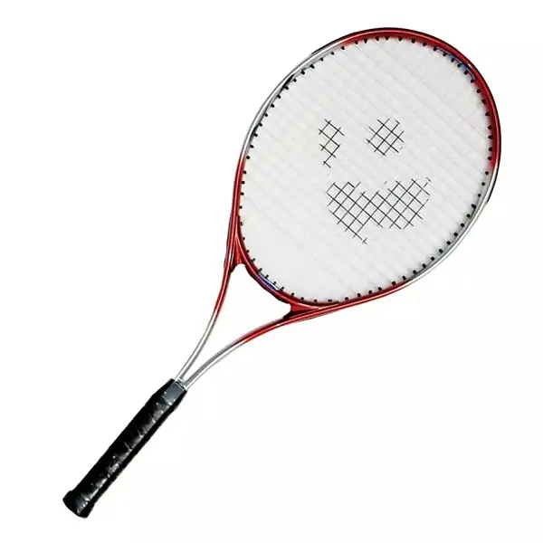 design your own branded mini tennis rackets(pro-t291) Top new brand tennis racket Cover tennis vibration damper