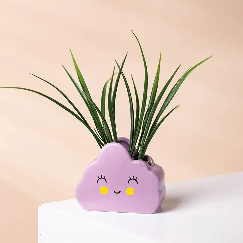 Custom Cartoon Cloud Shape Planter Plant Pots Ceramics Succulents Pots For Home Garden Decor