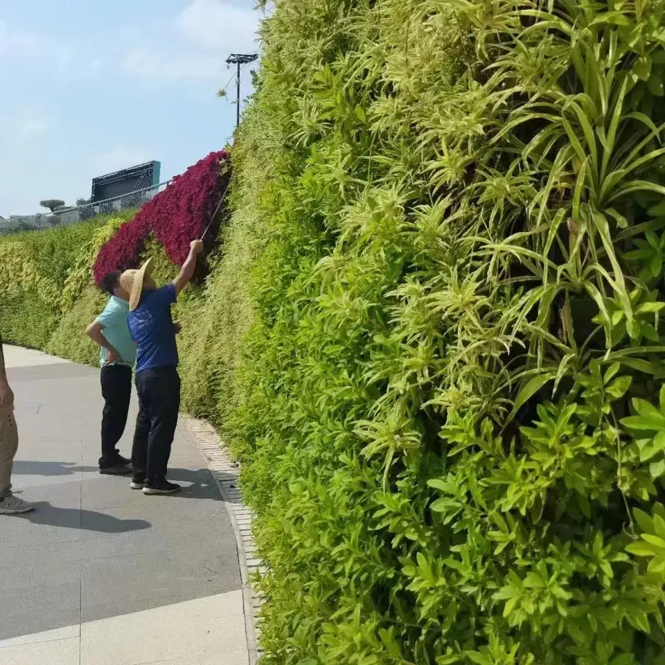 Honeycomb Variety Box 16 Holes-Plastic Stackable Plant Green Wall System Decorative Flower Pots Featured Image