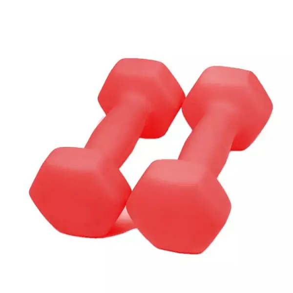 1kg Basics Neoprene Dumbbell Hand Weight/fitness/yoga/best tool for loss your weight/thin arm