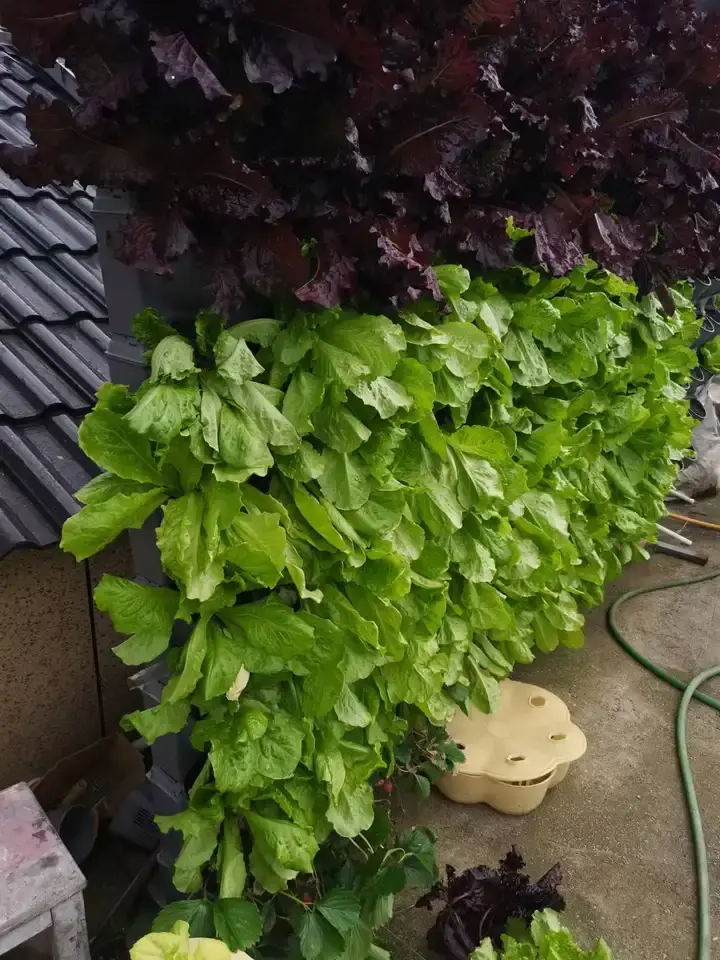 Outdoor Garden Balcony Yard flower Planting Box Living Wall System Automatically Timed