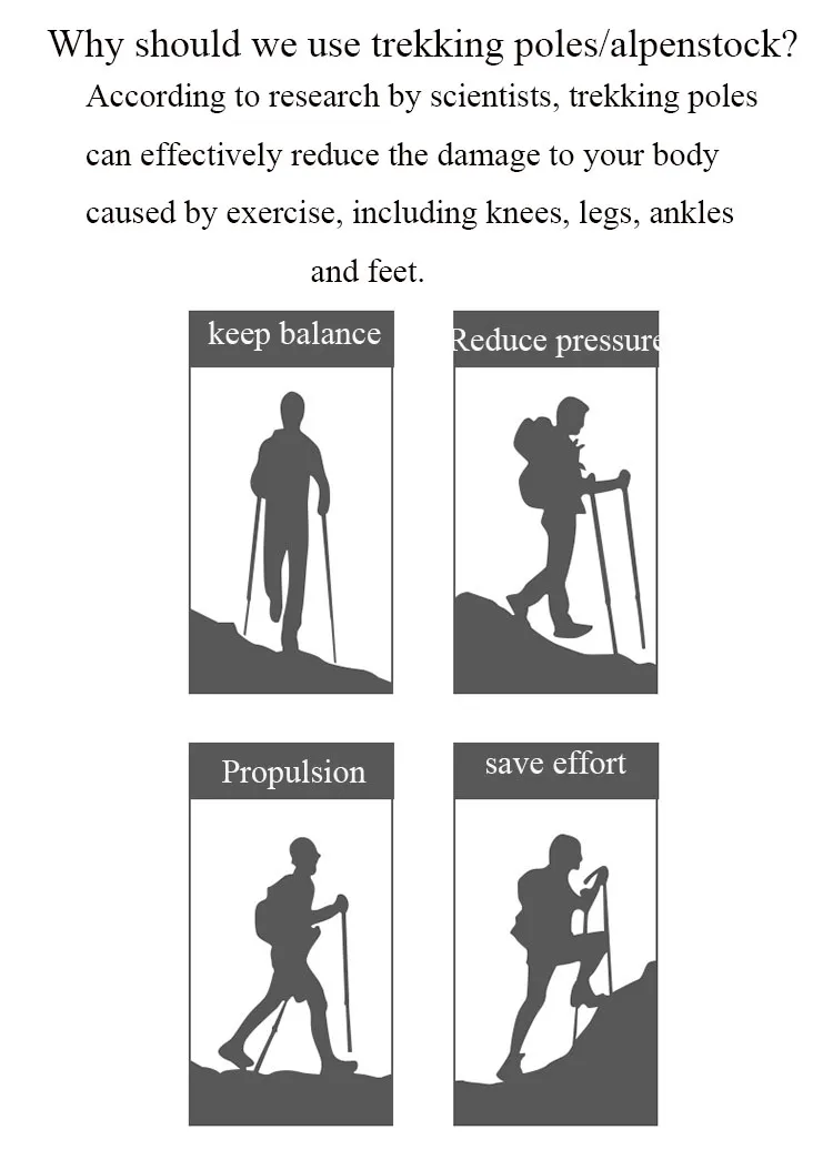 b03e8a50fa352509ad15da557141982