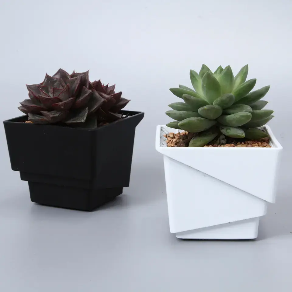 Succulent Plant Flower Pot Square Box Decorative Container Garden Supplies Featured Image