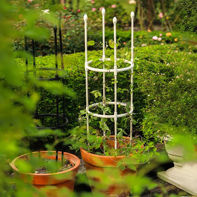 Climbing vine rack Amazon supply splicing plant climbing vine rack Chinese rose clematis outdoor iron flower rack