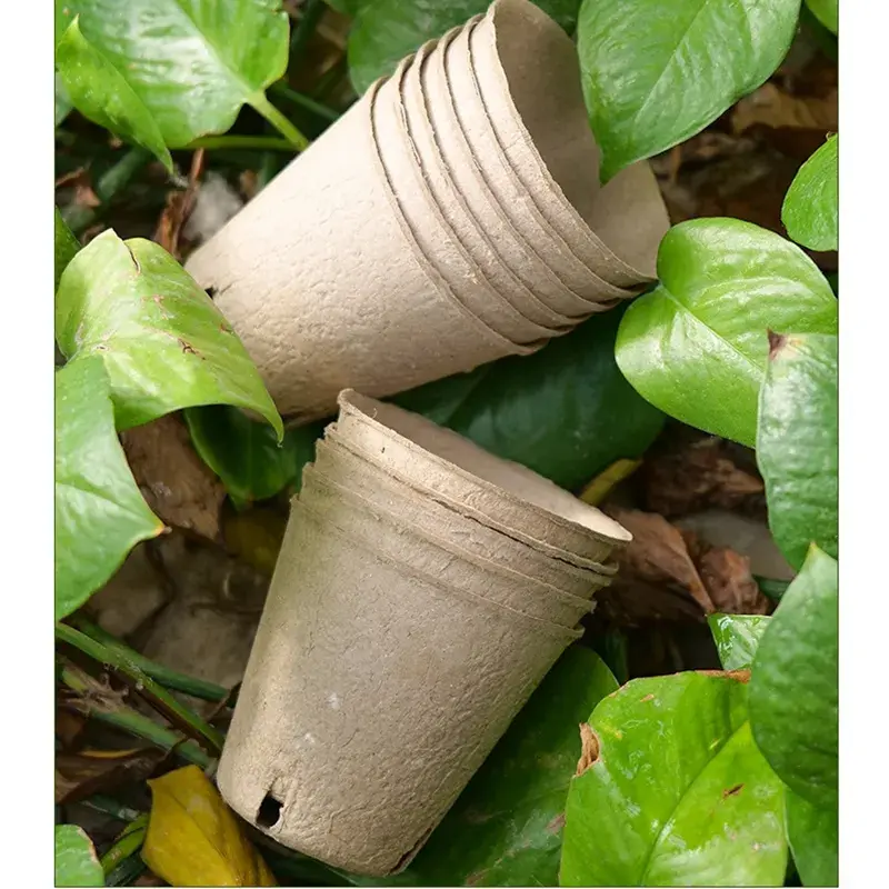 Hot Sale Garden Supplies Grow Coconut Wholesale Paper Planting Manufacturing Seedlings Biodegradable Peat Pots