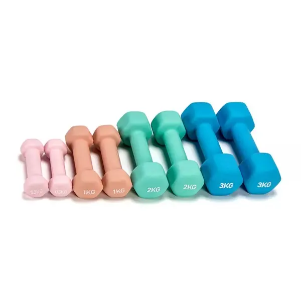 High Quality Home Gym Exercise Equipment Rubber Coated Dumbells Free Weights Hex Dumbbell
