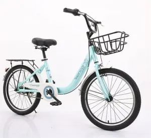 20” _22” City Bike Bicycle for Man Woman Mountain Bike Cycle New Adult Bike City Road Bicycle